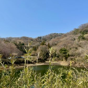 うっすら色付くお山♡