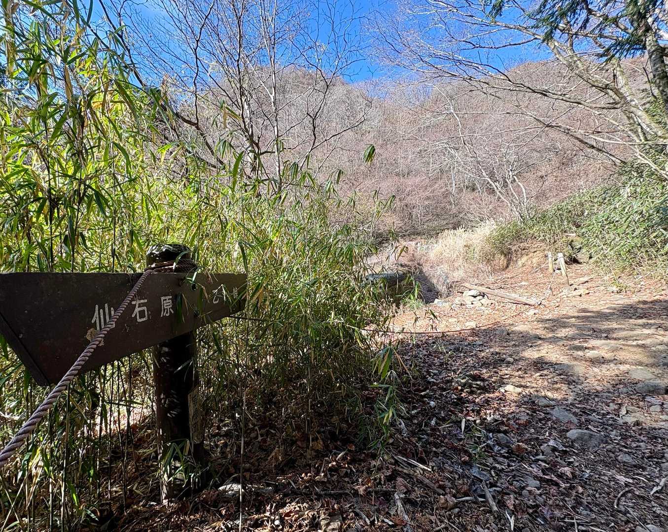 見えませんが写真の左手下が国道134号線・乙女トンネル箱根側出入口であることが「トンネルドン(車がトンネル通過時に風圧により発生する音)」🗯️で分かりました🤔