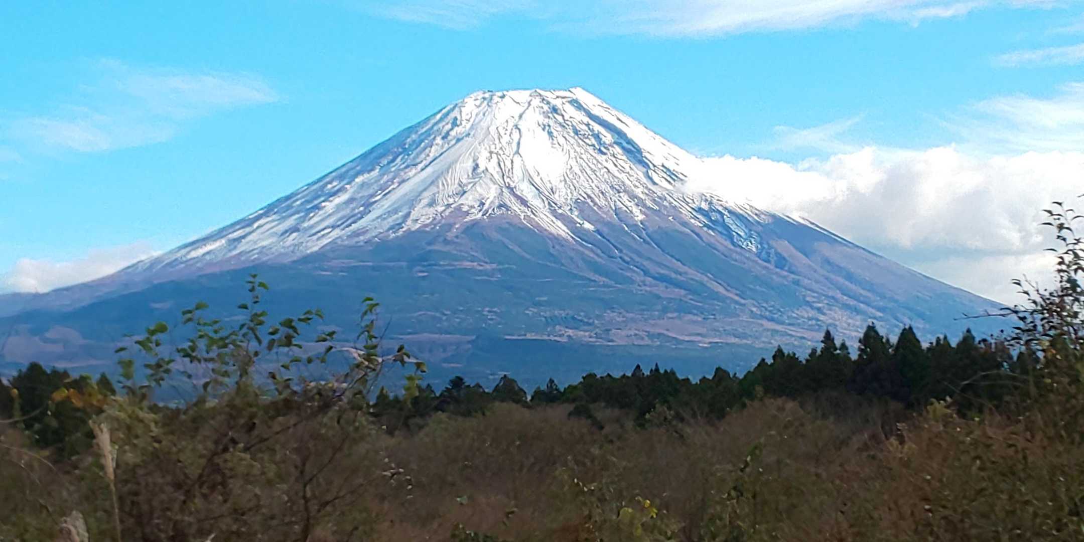 毛無山-タカデッキ-雨ヶ岳-端足峠 周回コースの写真