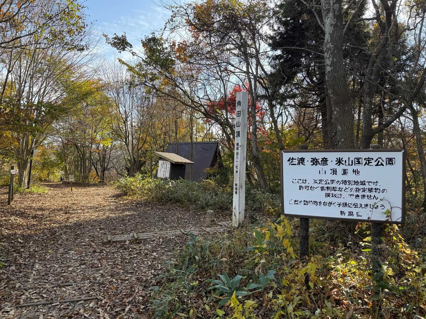1番へっぽこな私を1番前にさせて貰って何とか山頂へ⛰️😓

しかしそれまでの山登りで1番スピード出しながら登りました。
速足ですよ。あれ😅