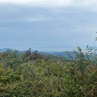 山頂からは絶景