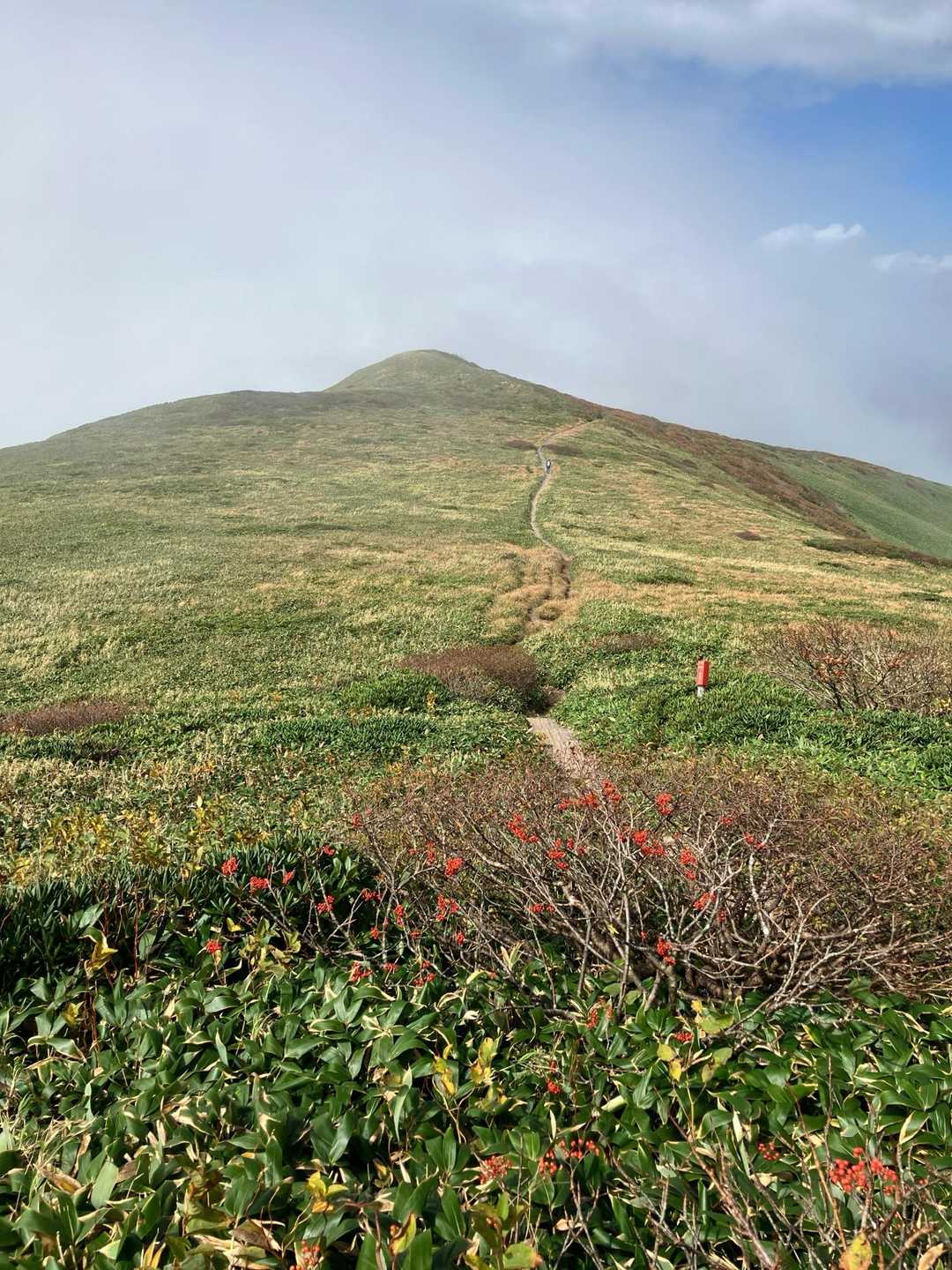 2026年2026mミレニアム登山だそうです😆平標山 仙ノ倉山 / bounce の