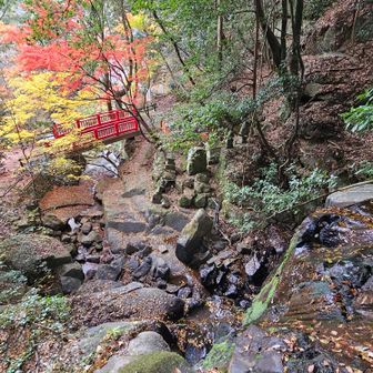 最後に『鈴ヶ滝』
かつての信仰者や修験者は、不動明王が祀られているこの場所で身と心を清めてから猿投山の頂上に向かったという由緒ある滝です。
最後に「🙏合掌🛐」して
おつかれ山です