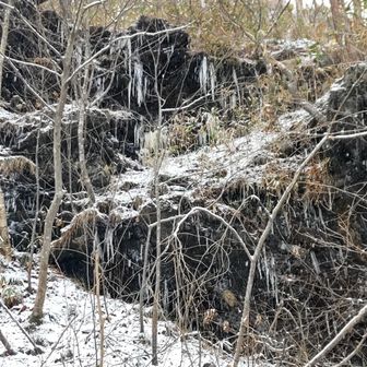 岩に「たろひ」ができてました😃
つららのことです💧