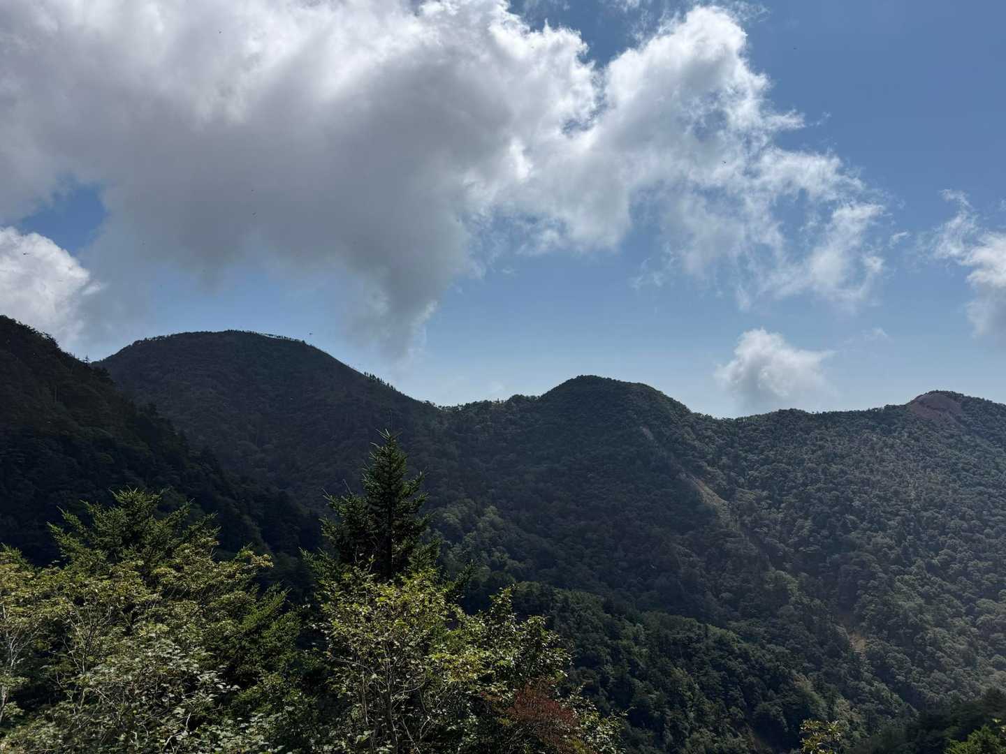 藤原登山口-鶏頂山 往復コースの写真