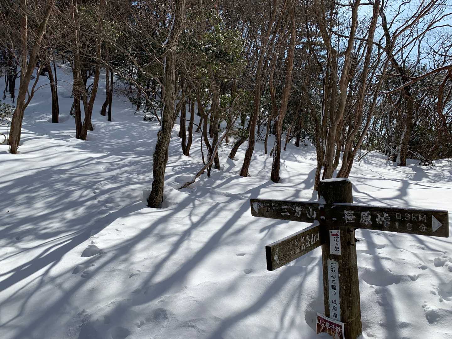 分岐