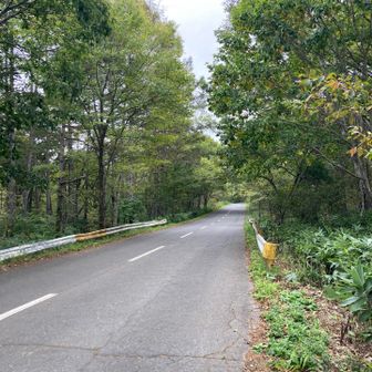 数分の車道歩きで、無事下山です。