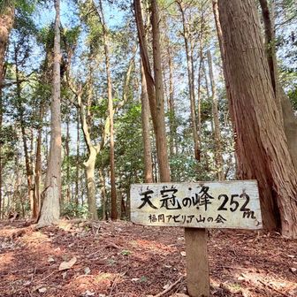 てんかんのみね🙌