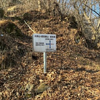 稜線に到着。左へ行くとすぐ虚空蔵山だが右の弥五郎峰だけポツンと未踏になってしまうのでそちらを先に行きます（虚空蔵山に近いので記録では登ったことになっていた😂）