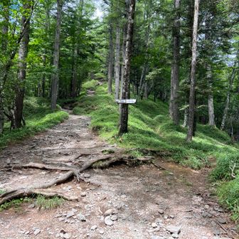 ここで断念！折り返し途中のヨモギノ頭で昼休憩をとって帰りました。