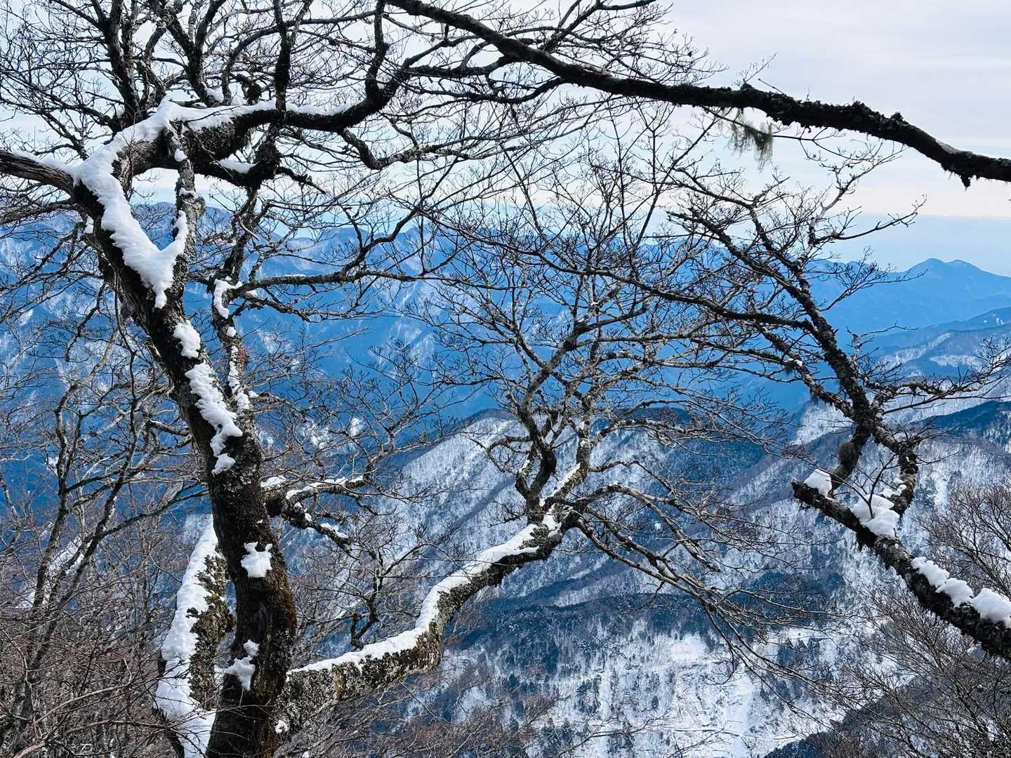 SHOKOさんにここの写真撮って〰︎と言われたけど、、自分では何を撮ったのかは不明