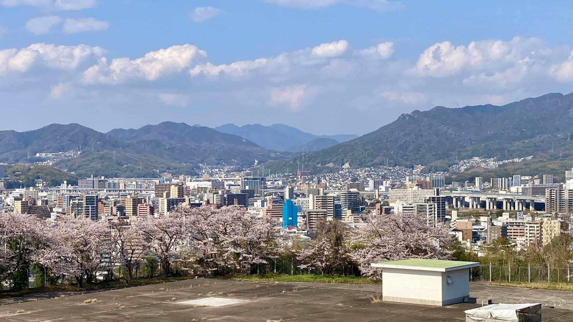 水道施設と🌸