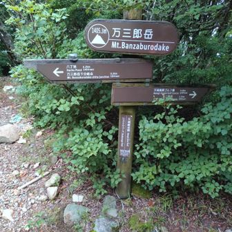 分岐