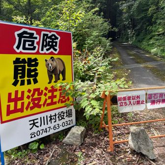 🐻さん、出ませんように🙏