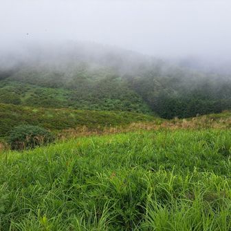 いつも撮るここからの景色📷
こんなガスは初めてかも☁️