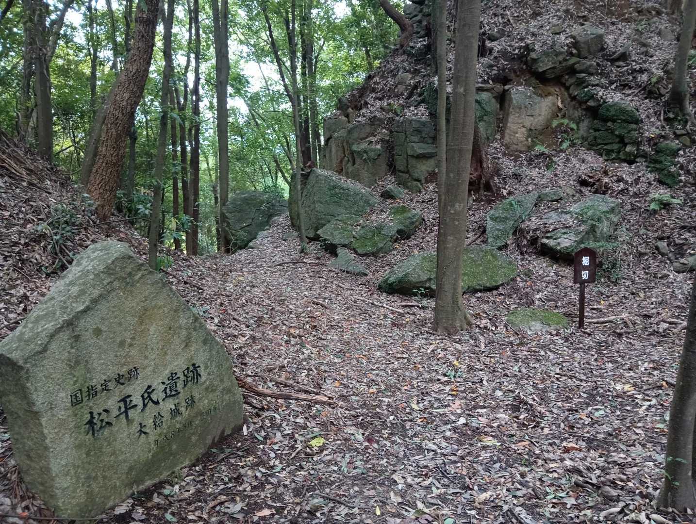 岩谷山 往復コースの写真