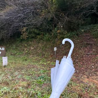 久しぶりのビニール傘持参❗️
そろそろ登山用の折りたたみ傘を買おうか？
くに氏から未だに
しん君はビニール傘で！って言われそう🤣