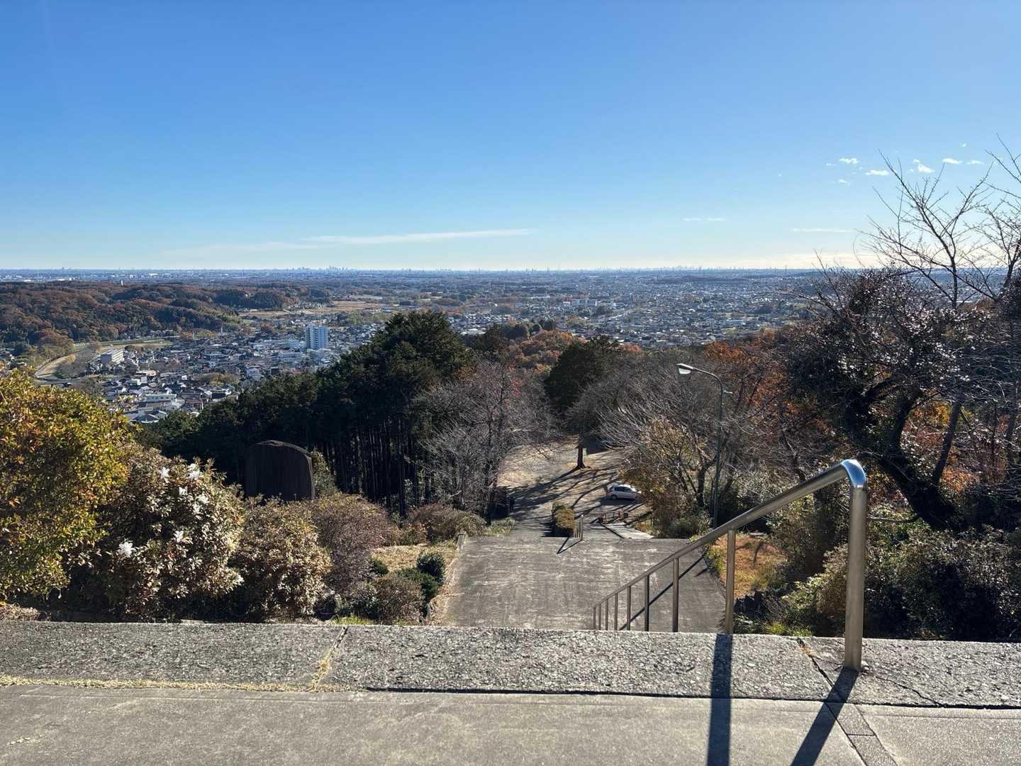 大観山-根っこ山-大高取山 往復コースの写真