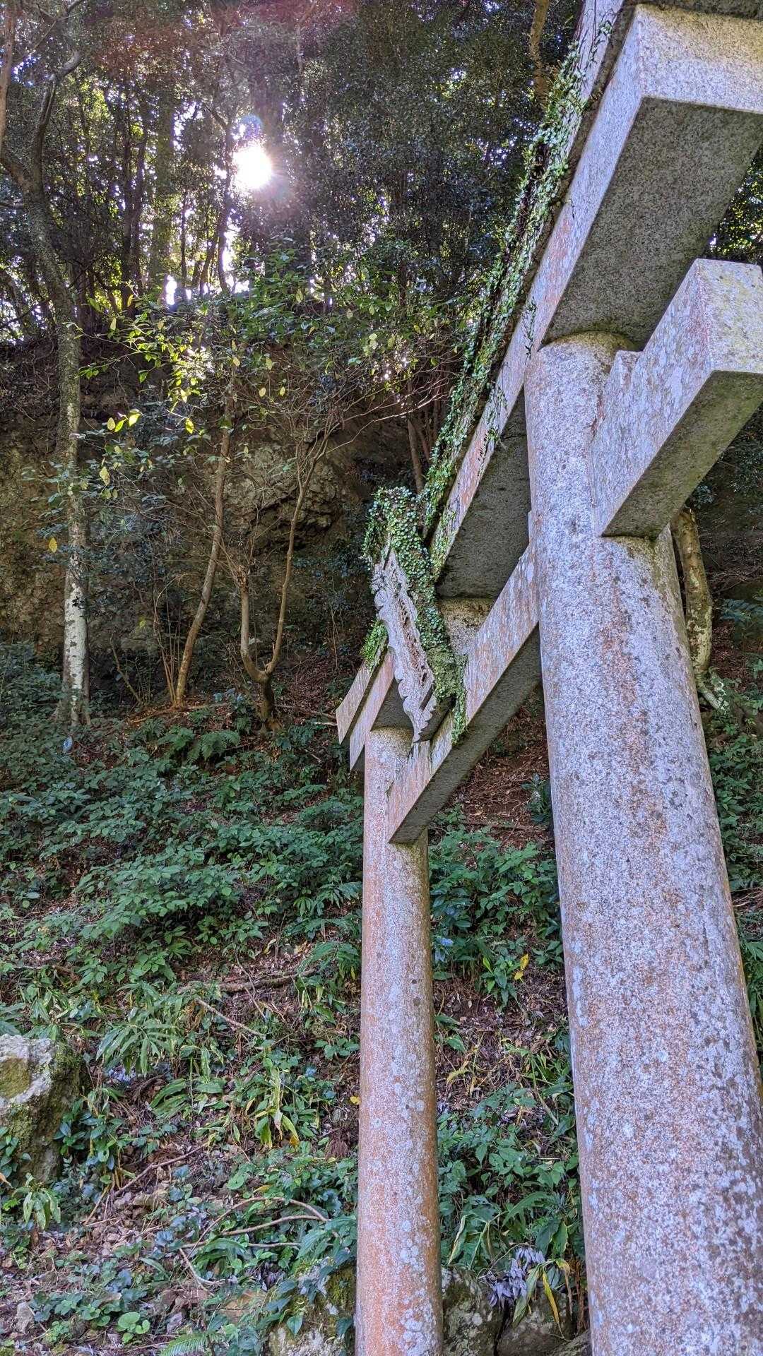 前に来たのは約2年前。
岩屋山は道迷いの多い山と聞いているので、ビビってます。

そしてマー君🐍。絶対お会いしたくない💦💦
