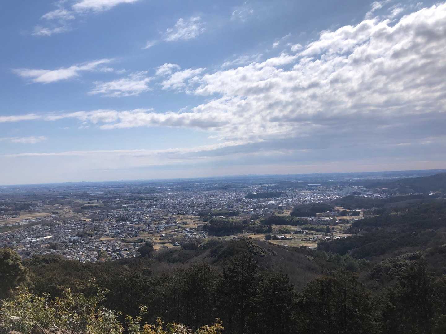 大観山-根っこ山-大高取山-稲荷坂バス停 周回コースの写真
