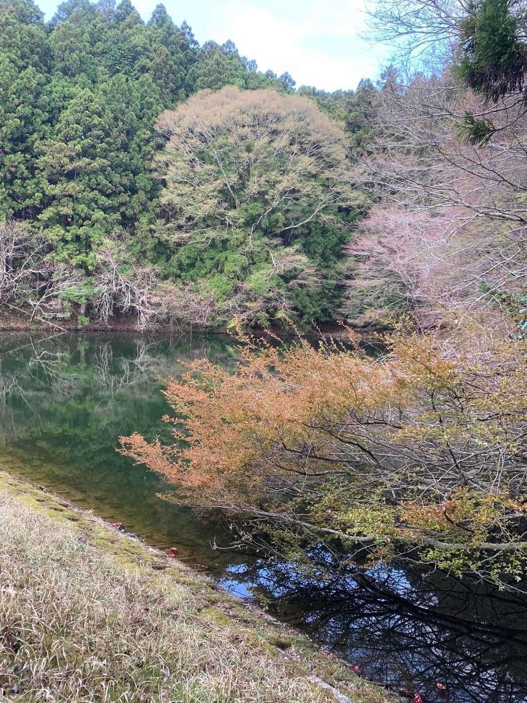 大洞山 往復コースの写真
