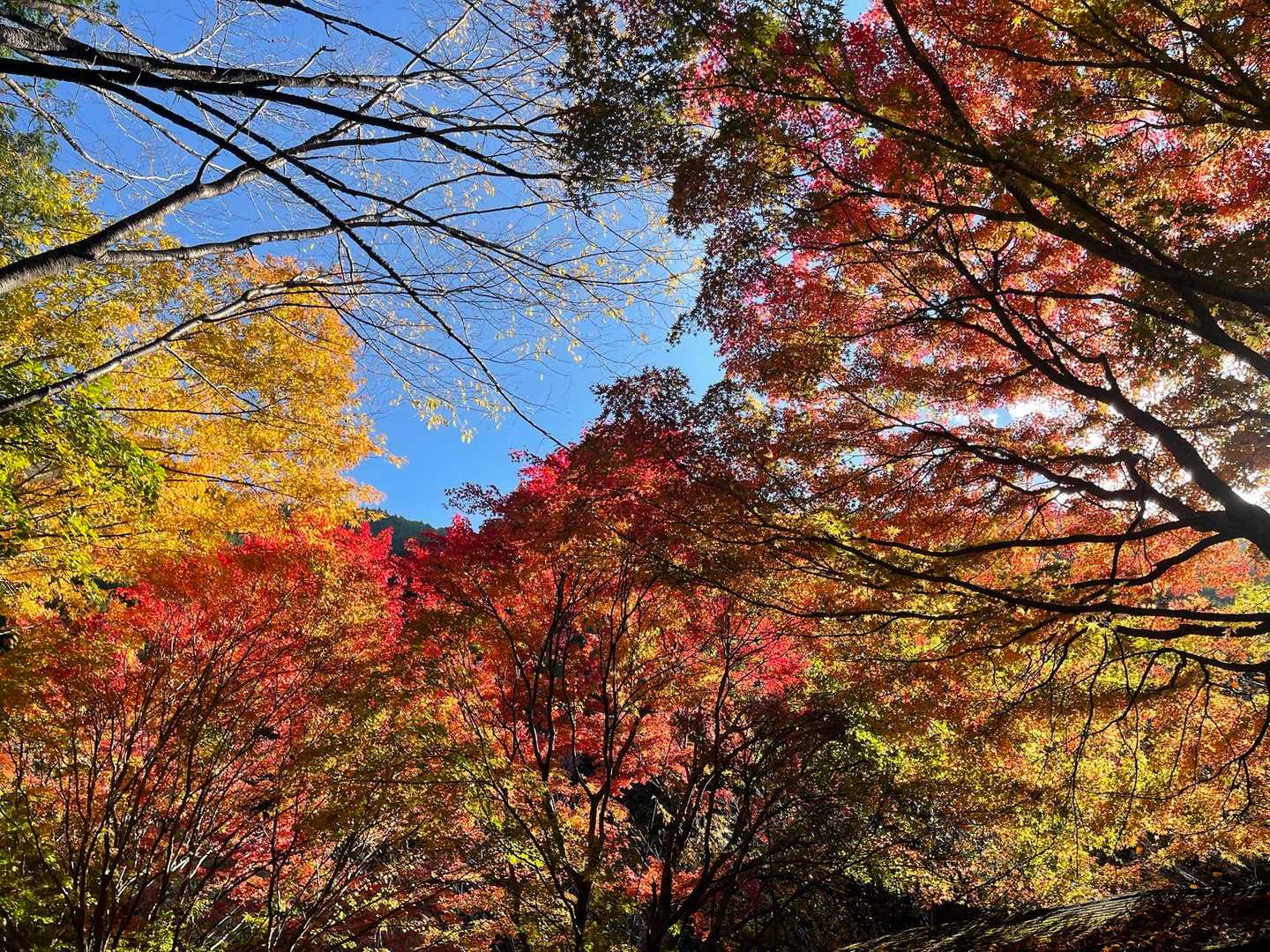 高賀山登山口-御坂峠-高賀山 周回コースの写真