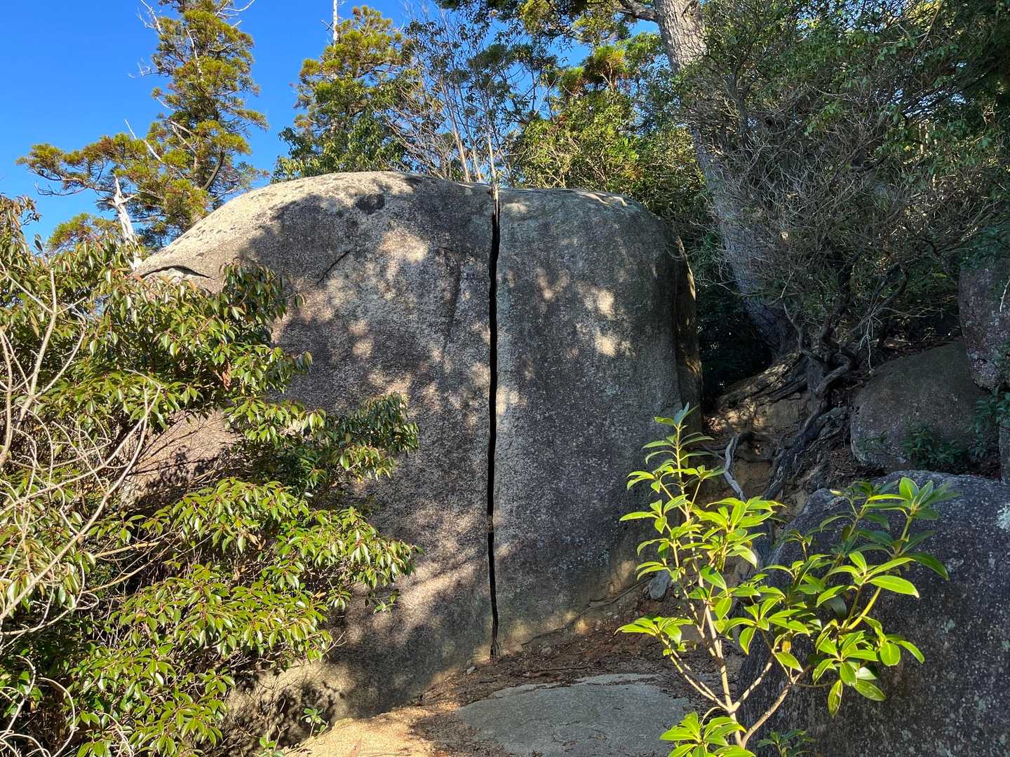 大元神社-弥山登山道入口　-前峠山-三剣山-弥山-紅葉谷橋 周回コースの写真