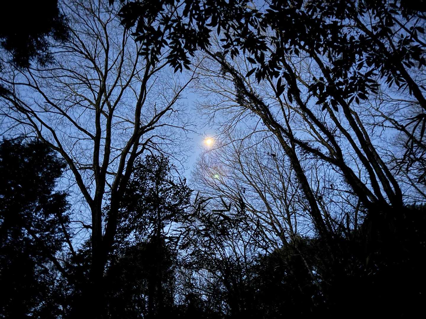 月が綺麗🌕