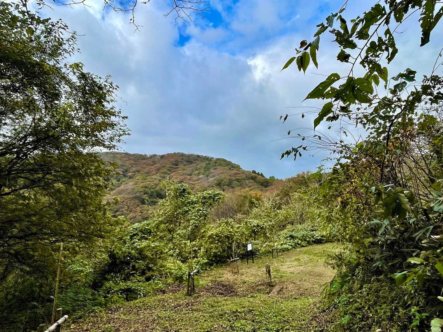 鞍乗峠から、荒倉山を望む