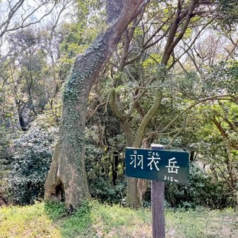 はごろもだけ🙌
今日は一昨日の雨の影響か全体的にぬかるんでました💦