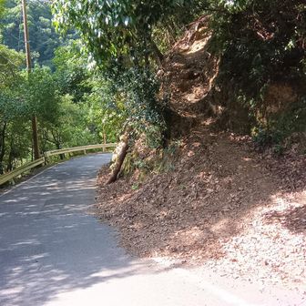 登山口
標識がないので、見逃してしまった。