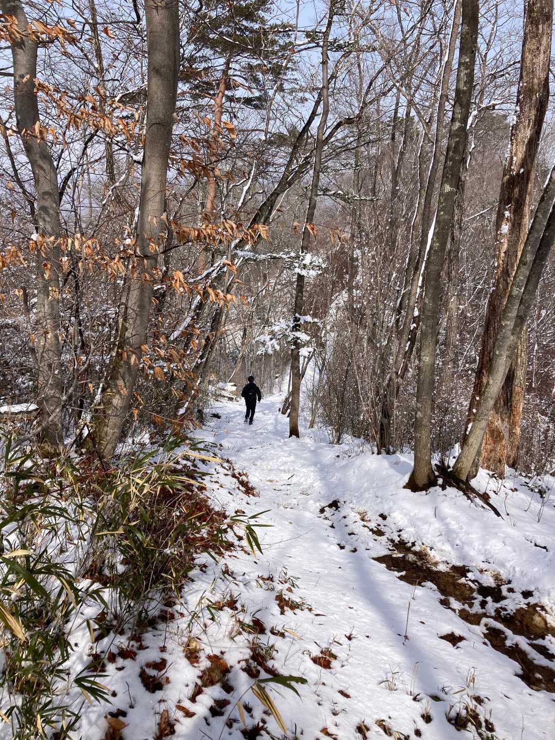 それにしても昨日の疲れを全く見せないShin5さん🏃‍♂️
いつも早すぎて、写真を撮りたくても撮れません📸😅
もうあんな所まで行っています🏃‍♂️💨