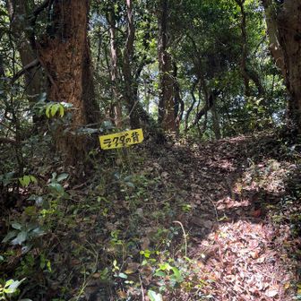 五井山・宮路山・御堂山 行ってみたけどよくわからず