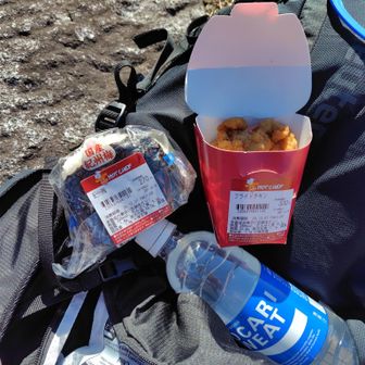 茨城県でお馴染みのセイコーマートで調達、美味しかった。