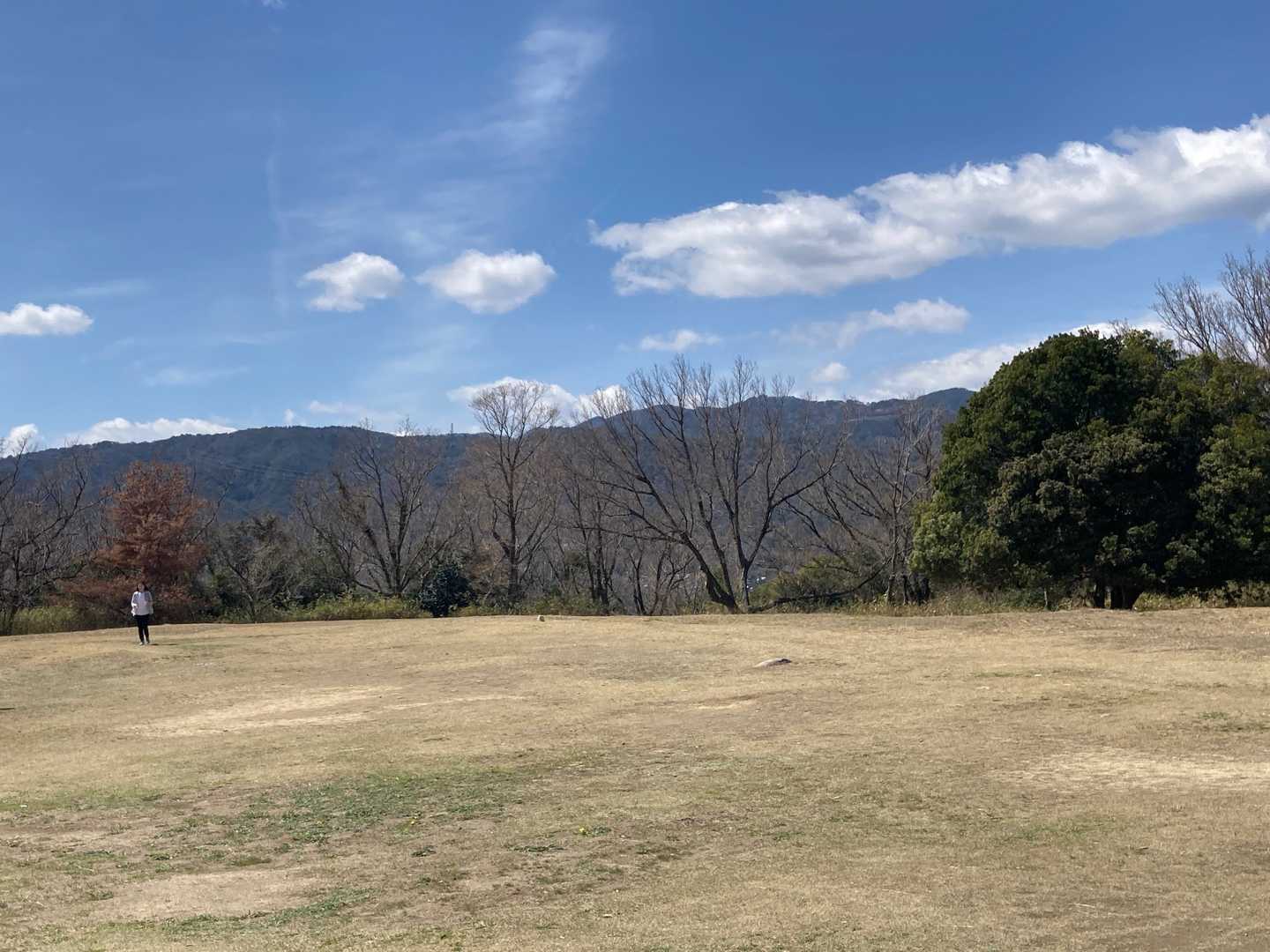 最高峰方向