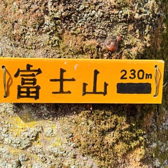 本日1座目👀
鹿沼市の富士山♪