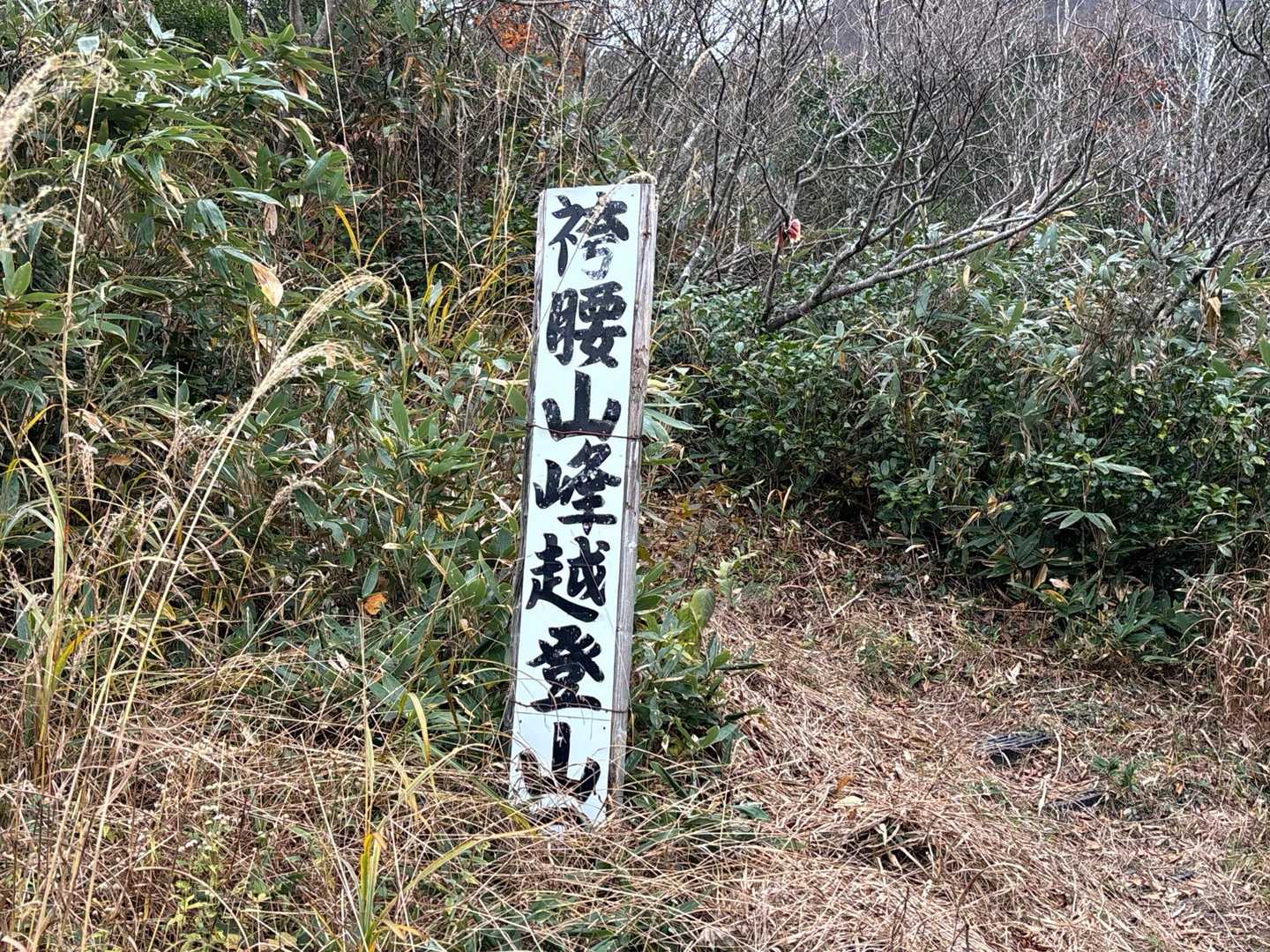 到着
でもゴールは2.8キロ先