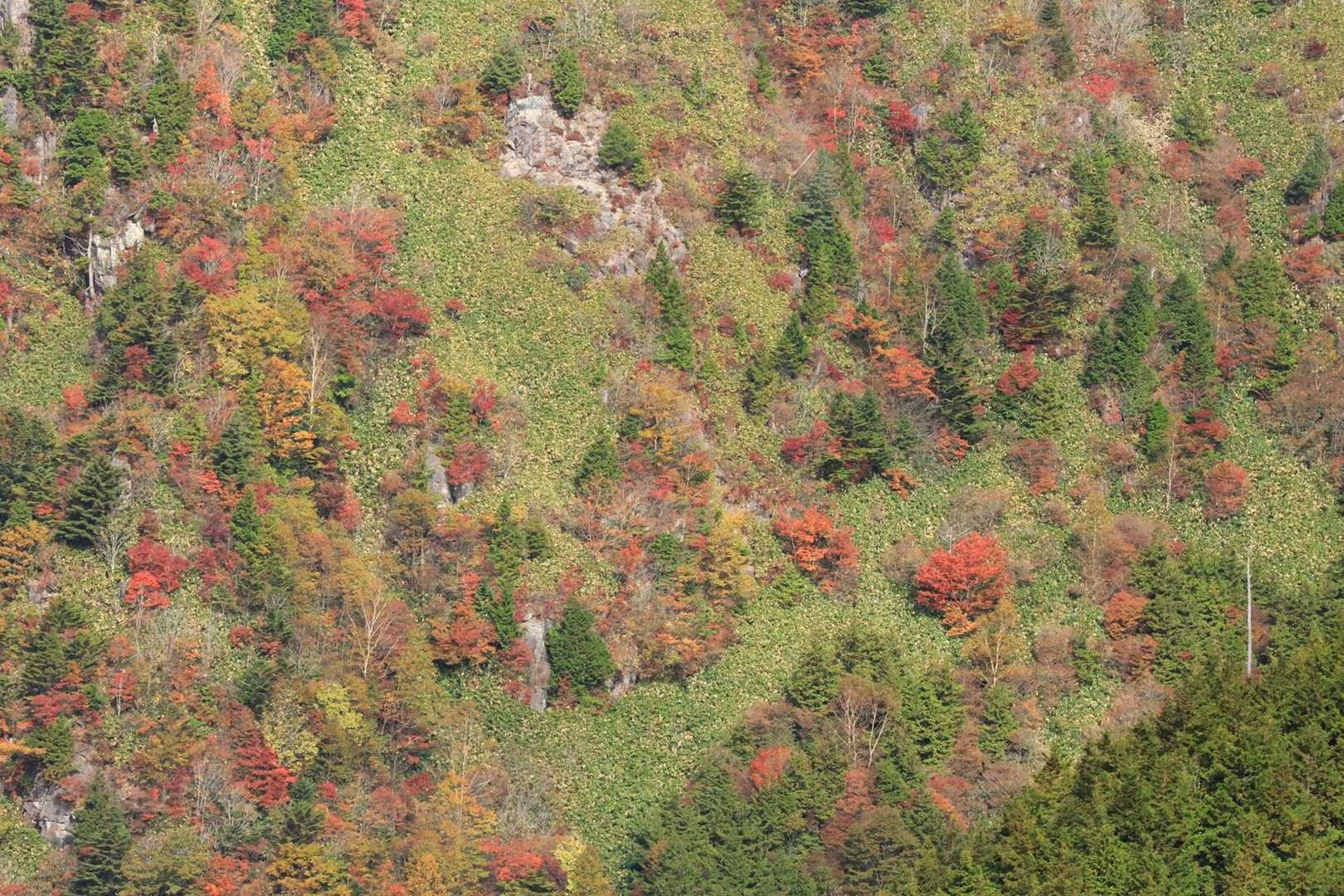 白草山登山口-白草山 周回コースの写真