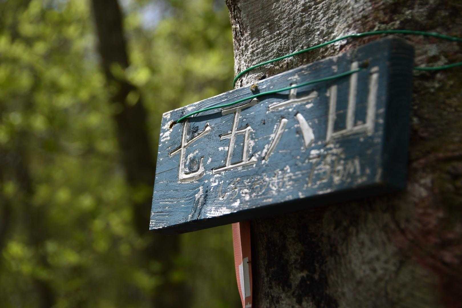 パラコース登山口-高倉山-あけら山-青麻山 往復コースの写真