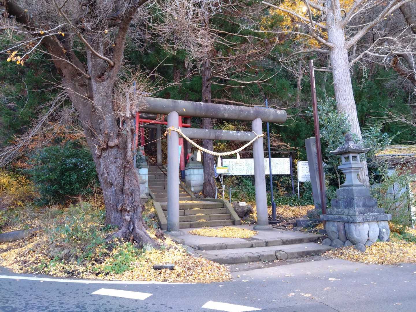 いつものところから🚶