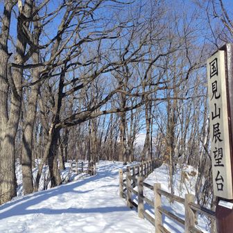 ではでは…
葉の落ちた落葉広葉樹林の散策路をグルッと行ってきまーす😆🎶