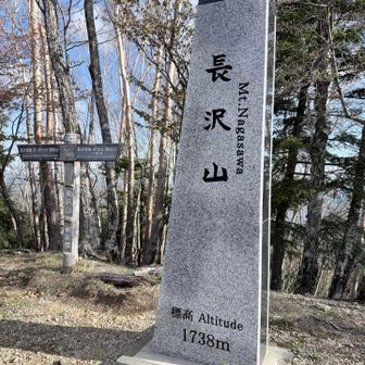 長沢山　これで東京都の石の山頂標識は全部クリアしたかな　