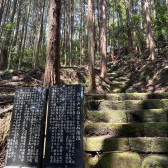 七面宮までの階段は175段でした