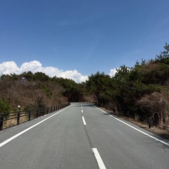 ヒッチハイク旅みたい🤭

