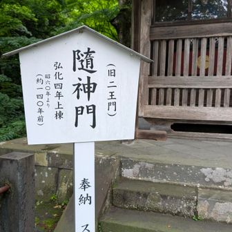 この門、昔は仁王門だったのね
仁王像がいたんだろうか
調べたら

明治維新の廃仏毀釈によって仁王像は失われたのかー
運慶作の仁王像が建っていたそう

燃やしちゃったんだろうか
もったいないっ

誰か何処かに隠してくれてたりしないかな。羽黒山の仏像達の様に
