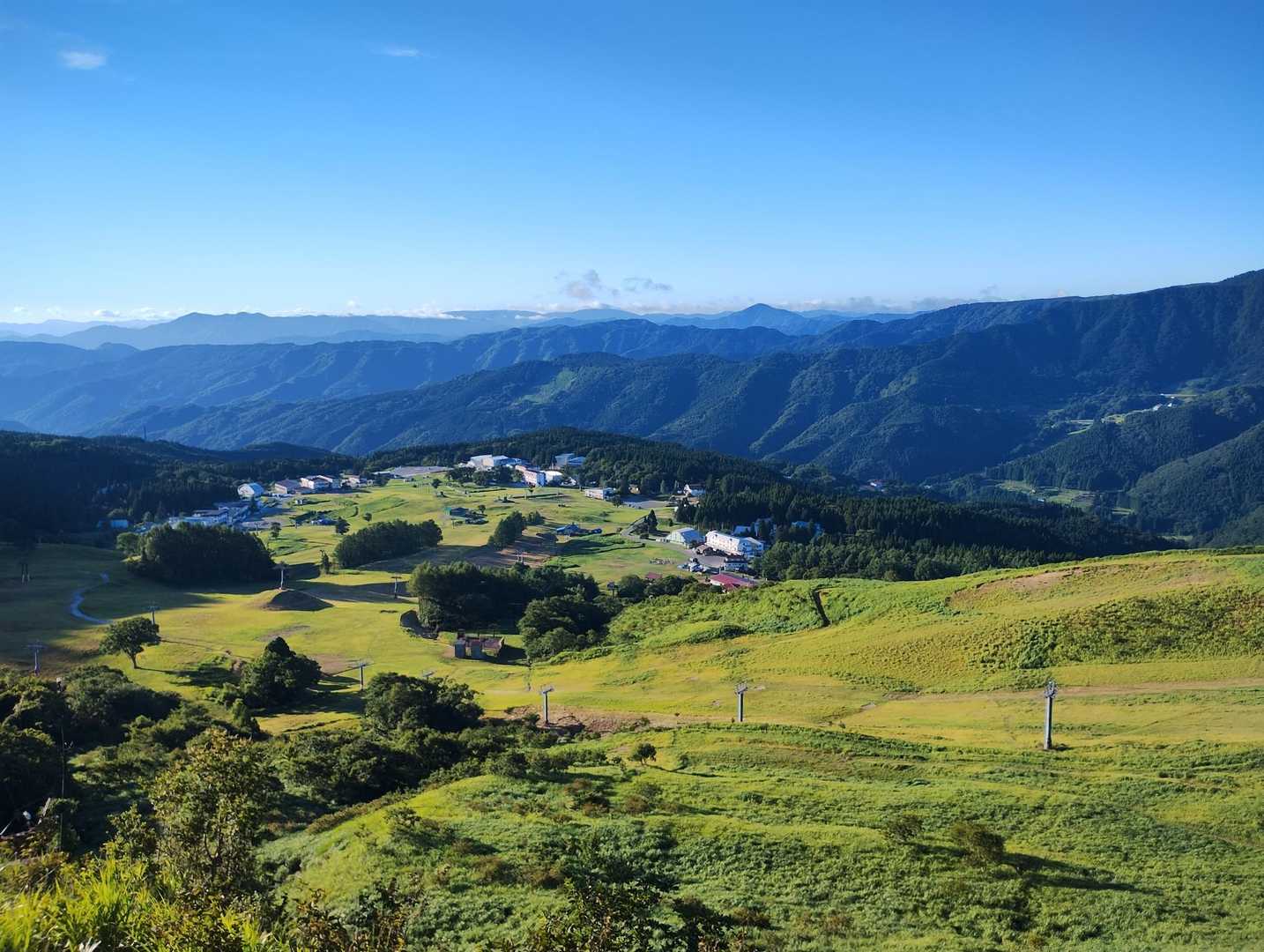 ハチ高原、陽が当たって綺麗〜✨️