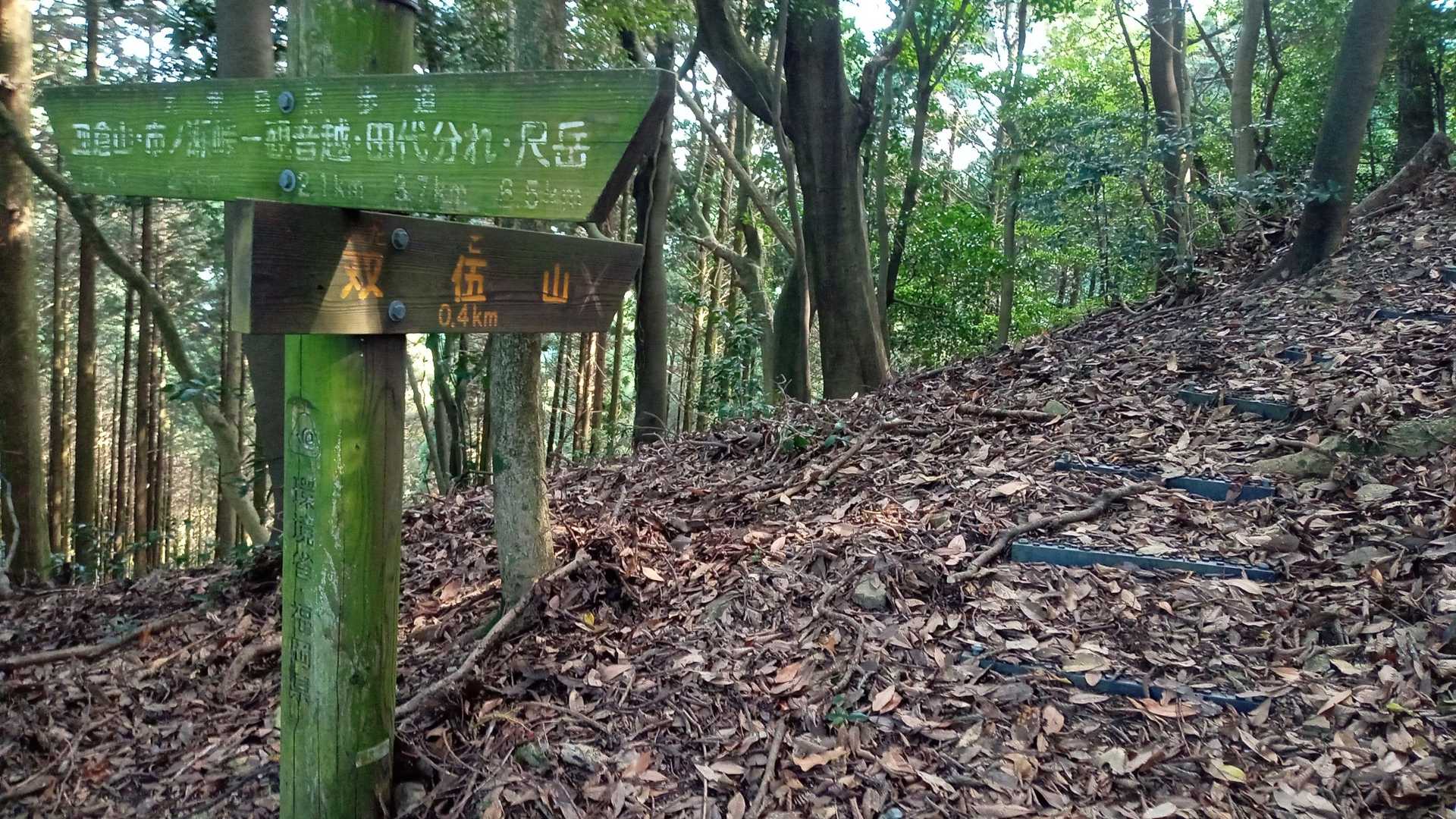 双子山下ってきました。