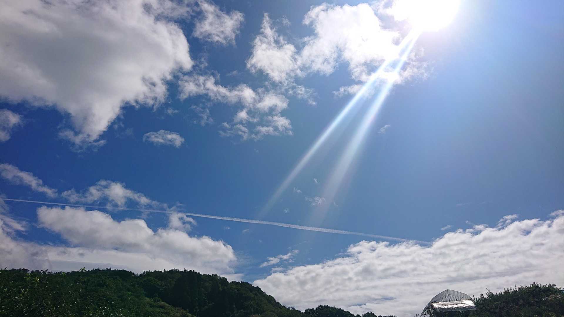 のんびりアス道歩き🚶
青空広がって気持ちが良い☀️