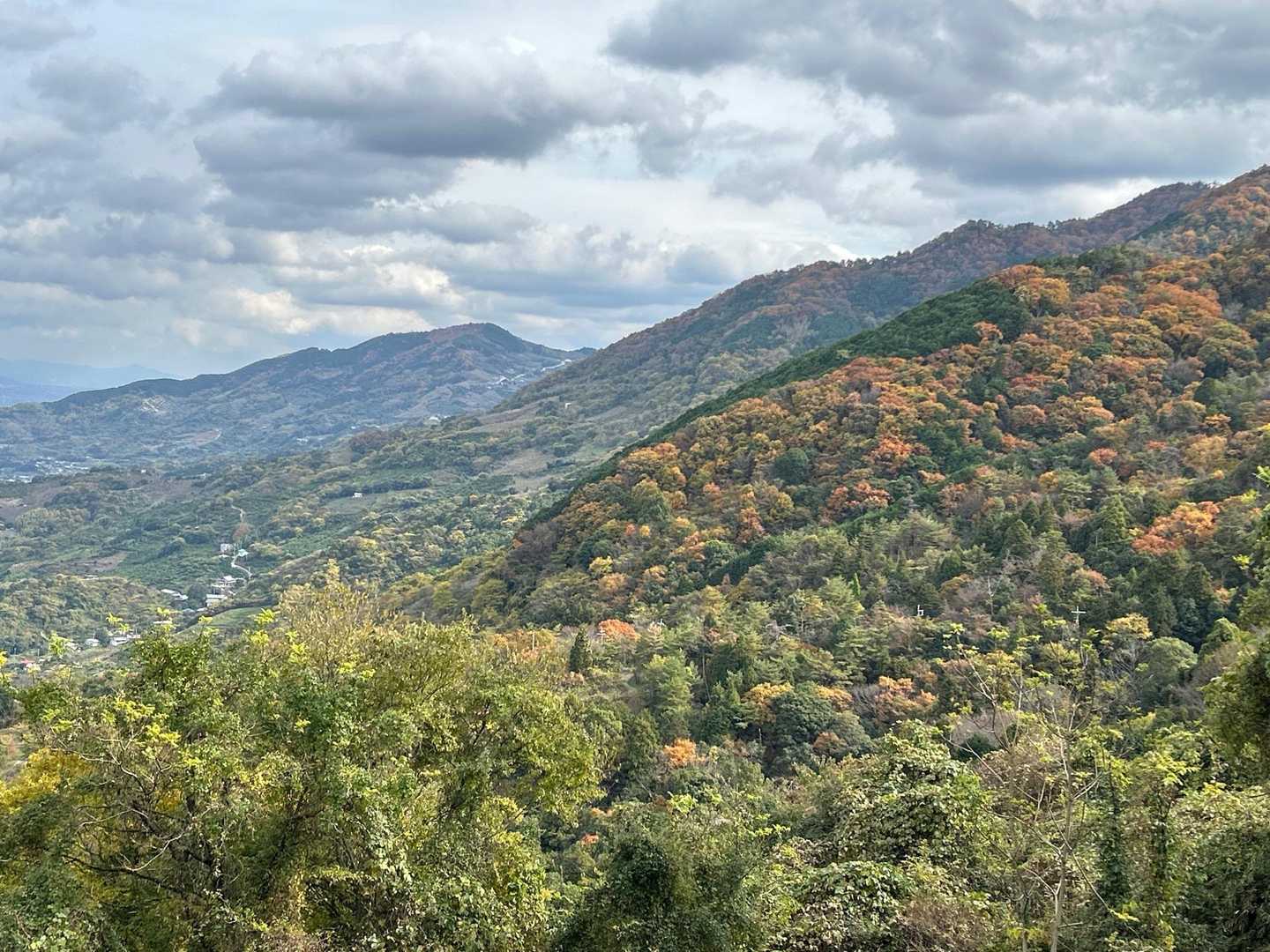下山途中、高野山方面紅葉がキレイ