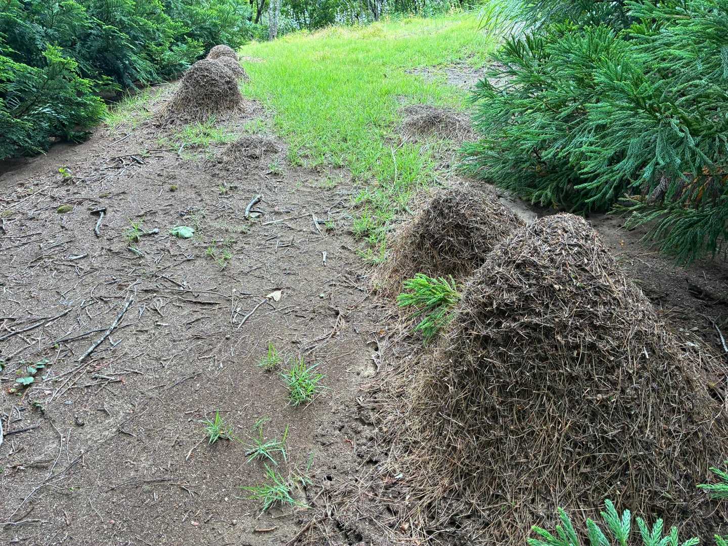 うおぉ。
写真撮ってたらどんどん登ってくる。
止まるたびに噛まれます😭